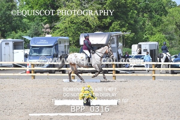 BPP_0316 - SHORT ARENA  MY QUEST PRELIM