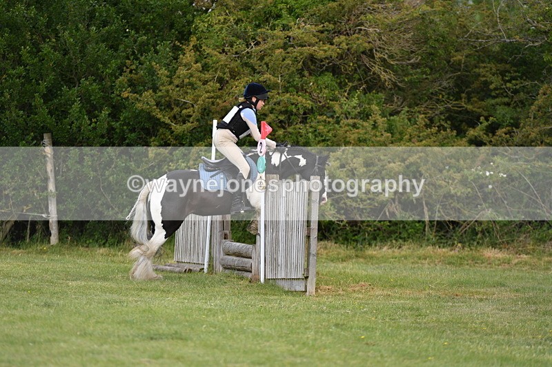 WJ5_2740 - Class 2 40cm