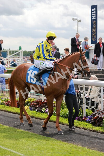 yr21052022r2-17 - Race 2: 2:20pm William Hill Bet Boost Stakes