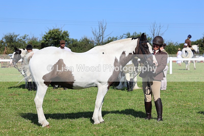 IMG_1584 - Class 30: Ridden Native/Trad Coloured Pony