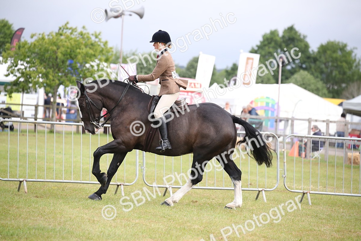 SBM_11247 - Class 92-93 - LIHS BSHA Rising Star Cobs