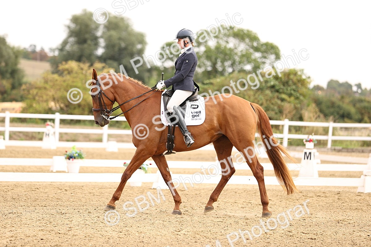 SBM_011645 - Class 1 - Medium 5