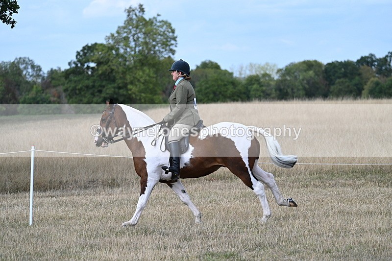 WJ7_7300 - Class 14 Ridden Coloured