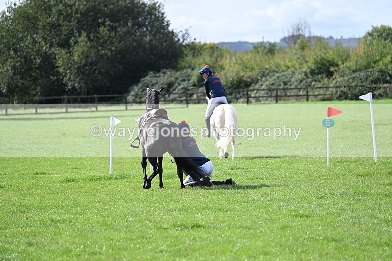 WJ7_8543 - 60cm Pairs