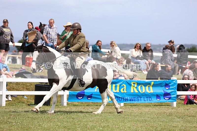 3E7A2064 - Class 10: Open Cob