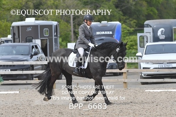 BPP_6683 - 42 L MCKIRDY
