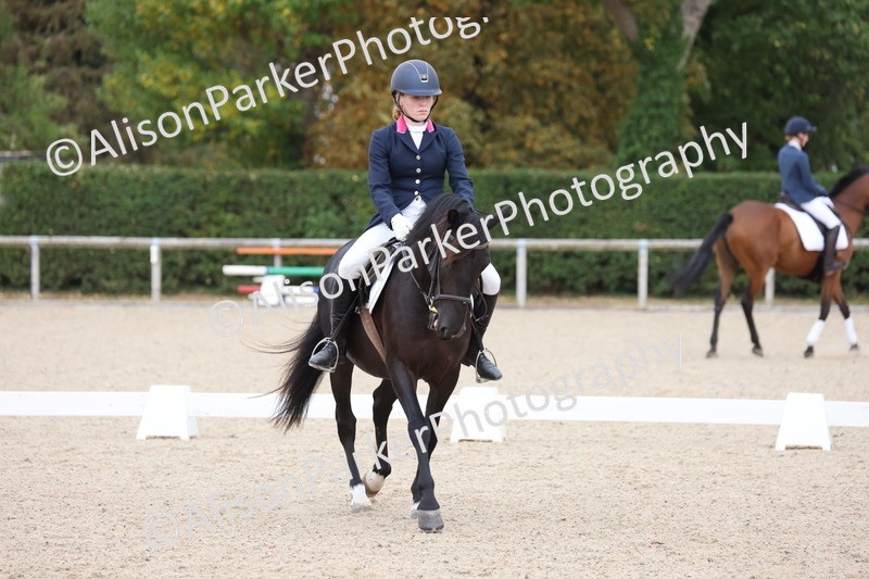 20250819-0957 - Class 2 - Prelim 1