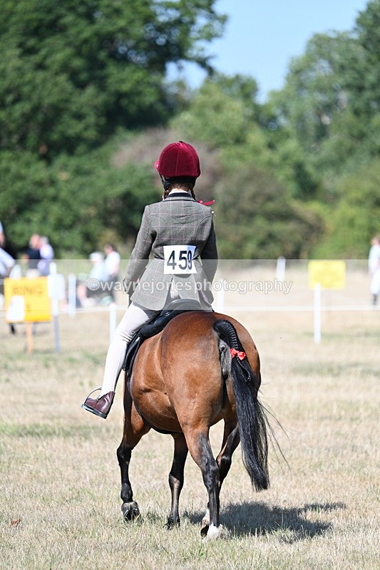 WJ7_4030 - Class 9 Mountain & Moorland Ridden
