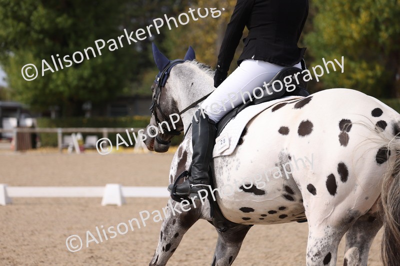 20250819-1589 - Class 5 - Novice 3