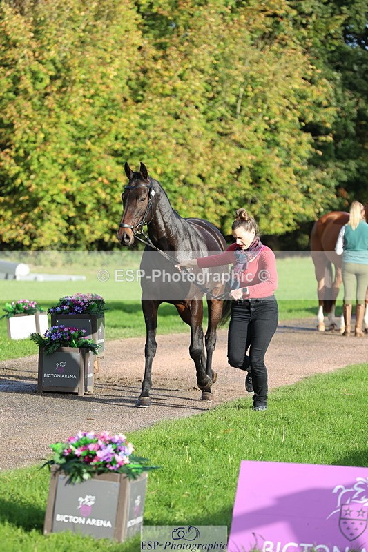 251026A-095527-22578 - D-306-Annabel.Mason