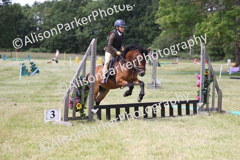 20260614-1814 - Class 21 - Novice Working Hunter Pony