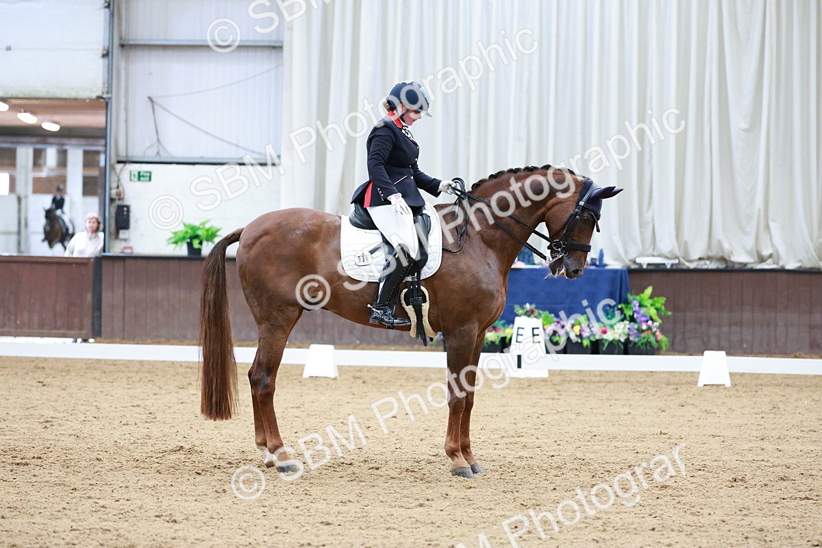 SBM_017947 - Class 15 - FEI Junior