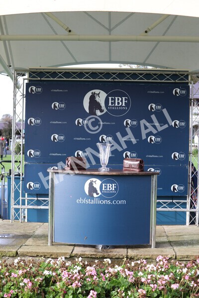 yr07102022r3-35 - Race 3 3.15pm British EBF £100,000 2yo Series Final (Colts and Geldings)