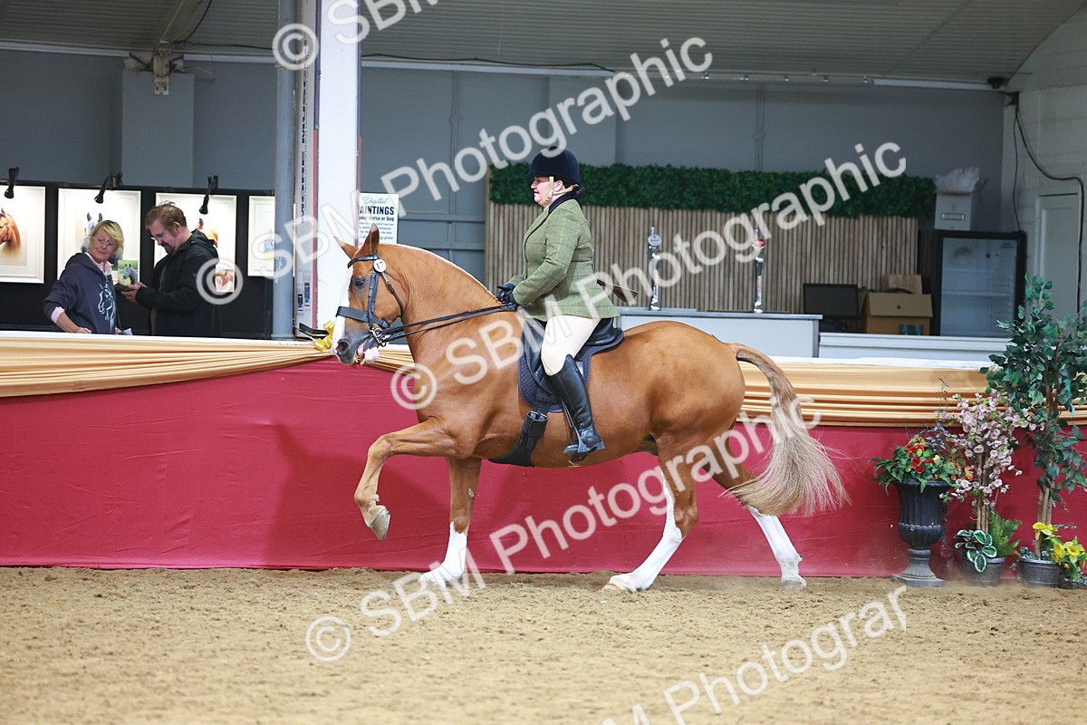 SBM_06116 - Class 12R - Ridden Pre-Vet
