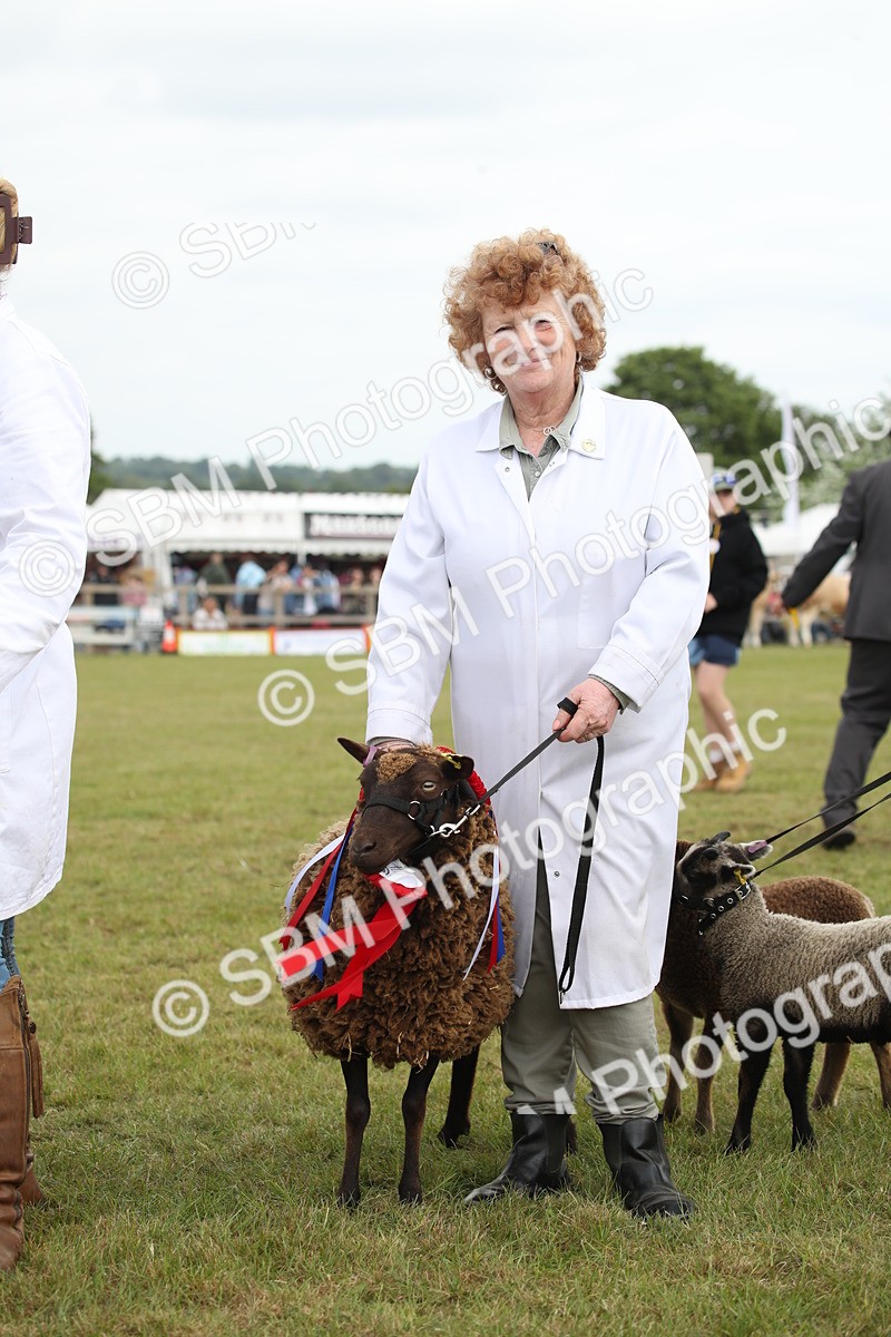 SBM_07875 - Grand Parade
