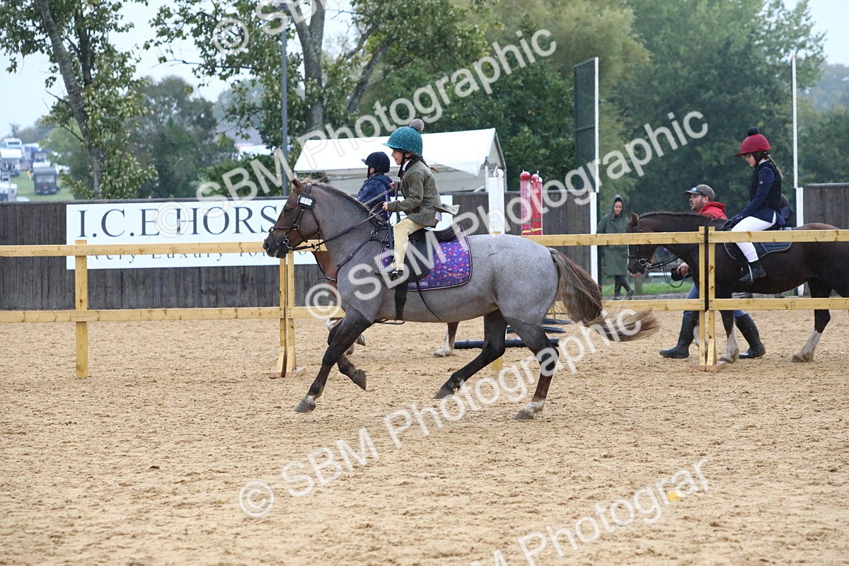 SBM_71495 - J4 - Mini Tour Junior Pony 45cm Championship