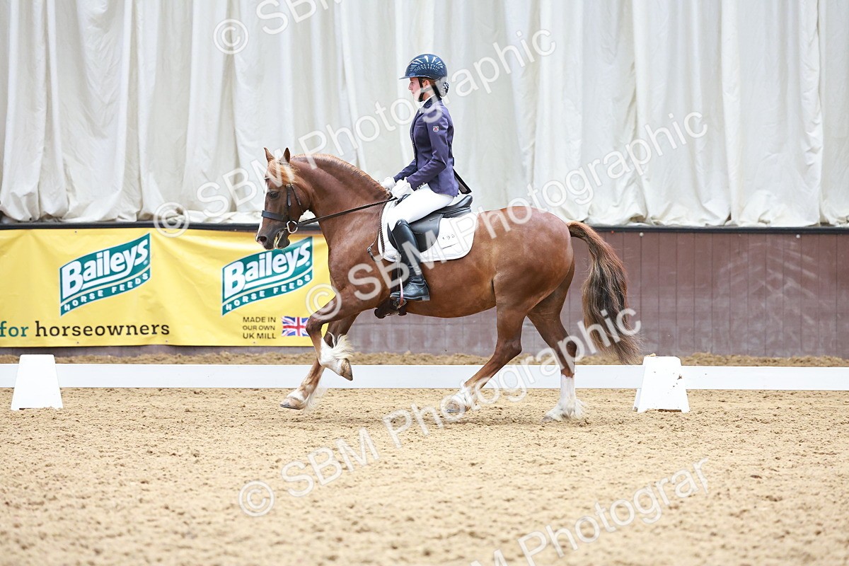 SBM_010904 - Prelim 5 - 11.38-12.48