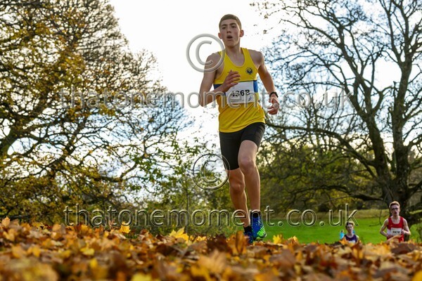 NatRel25-914485 - Young Male Set Two