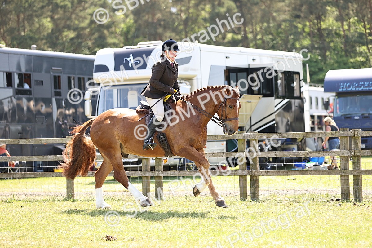SBM_17802 - Class 81-83 - TSR Ridden Amateur of the Year - Horses