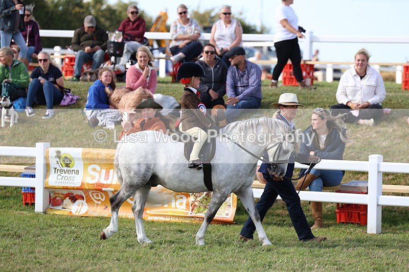 3E7A3777 - Supreme Championship