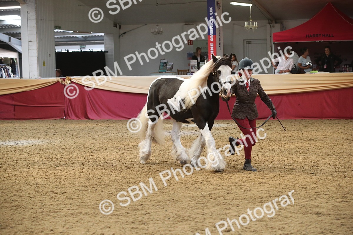 SBM_05648 - Class 9R - Regional IH Pre-Vet