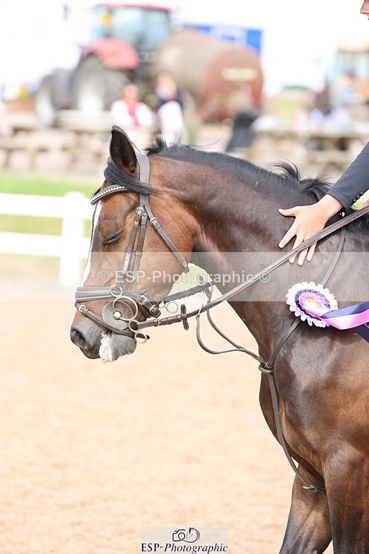 240630A-165611-15401 - Cls 33 Foxhunter and 1.10m Open