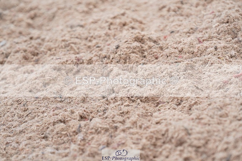 250621-085718-05487 - Quest Cls 1-5, Intro All