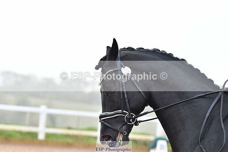 240121A-121707-00732 - Cls 7+8 Elementary 45 and 59