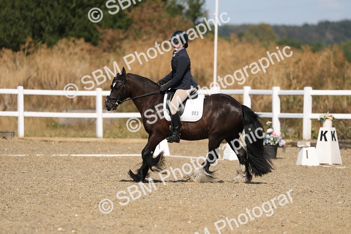 SBM_013541 - Class 1 - P5 Bronze 10.38.12.02
