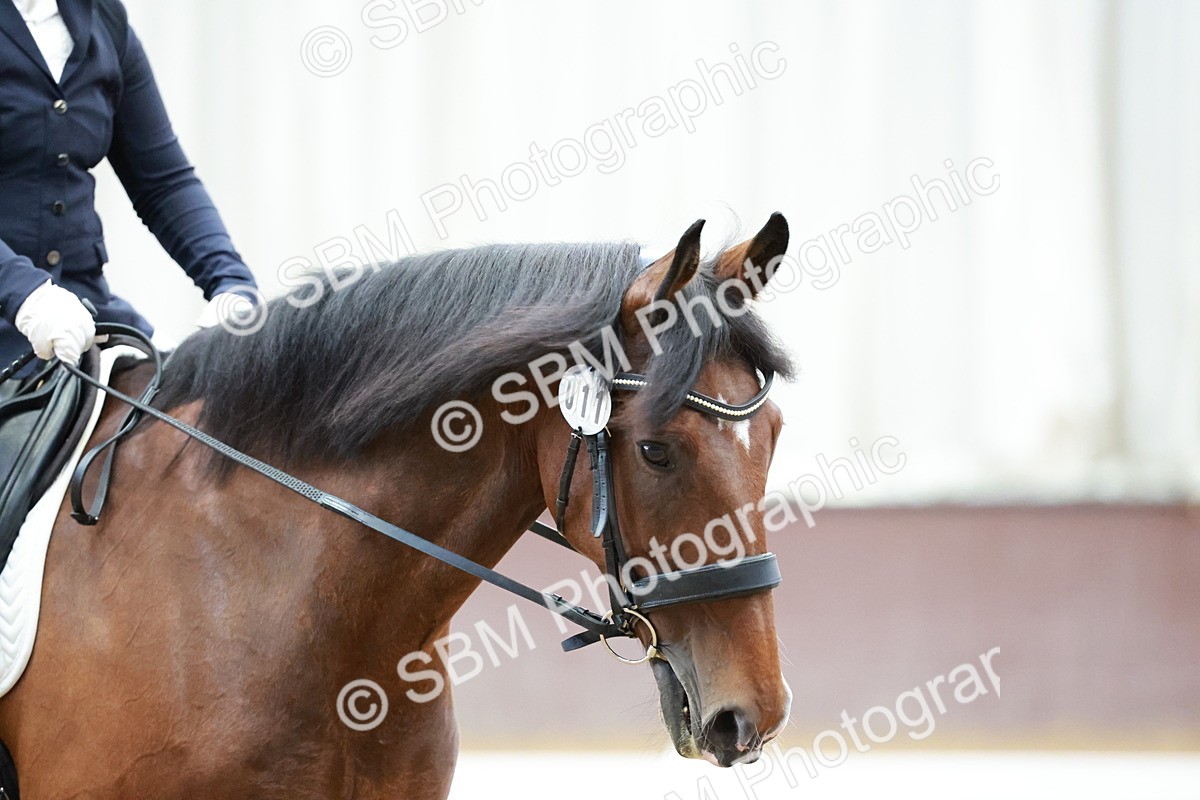 SBM_003093 - class 1 - Intro 2