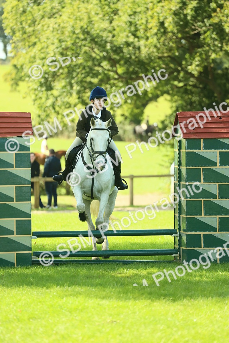 SBM_39280 - S29 - Novice & Newcomers Working Hunter Pony