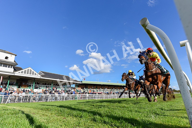 300926-Race 5-Vince Le Prince-7825 - Race 5 4.15pm Bet At racingtv.com Handicap (Div II)
