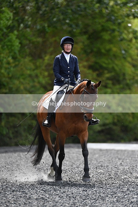 WJ5_0740 - Time 13:04 to 13:42