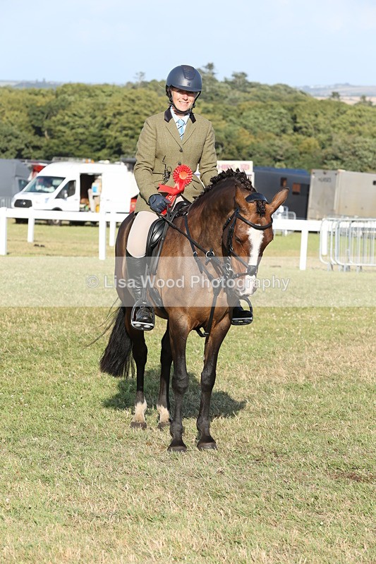 JPP_3400 - Class 22: Working Hunter 90cm