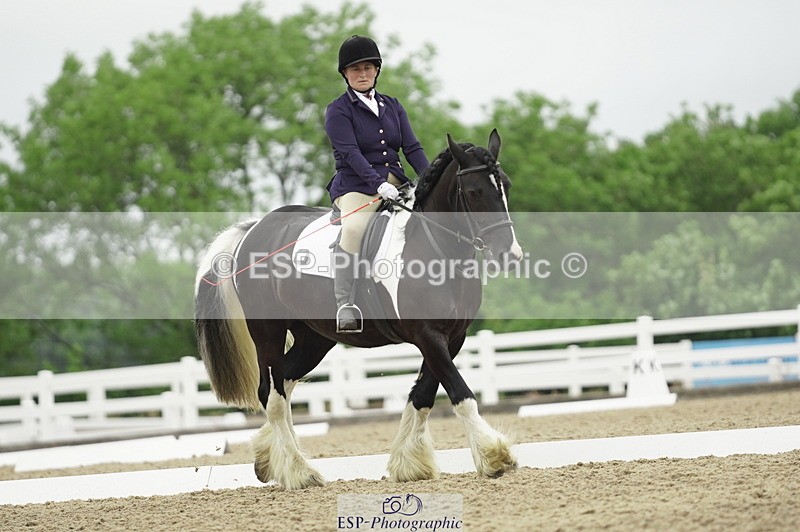 230708A-100424-00295 - Intro C