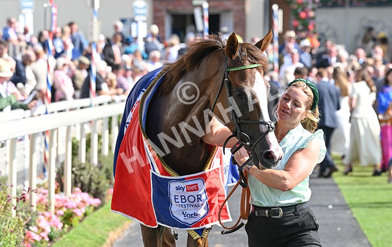220826-166 Daiquiri Bay - Race 4 15.35pm Sky Bet Ebor Handicap