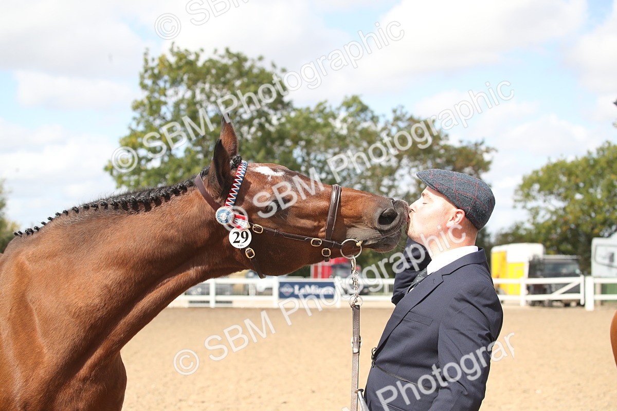 SBM_23457 - Class 604 - 2026 - Area IH Diamond