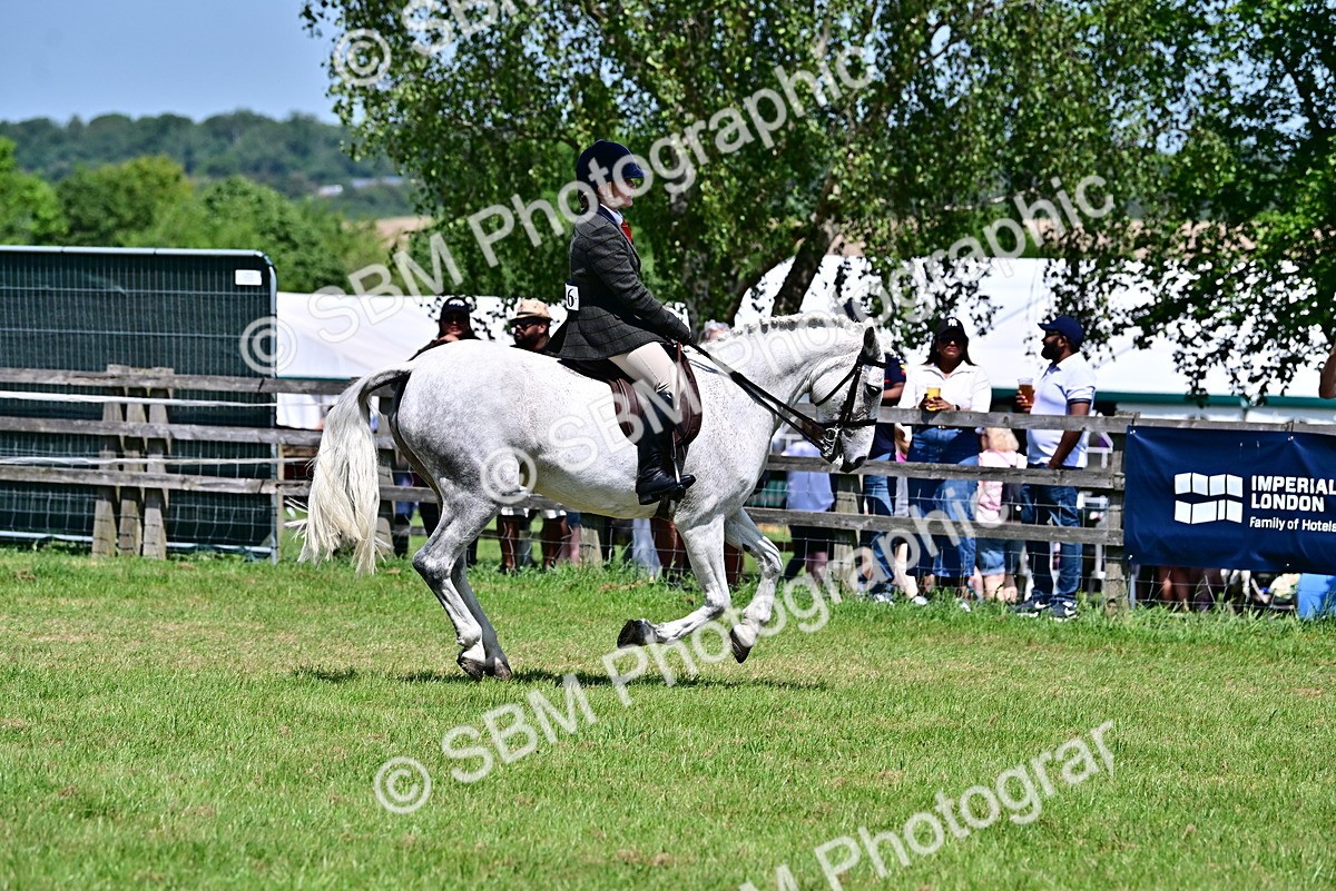 SBM_17403 - Class 95-97 - BSPS LHS Performance Ponies