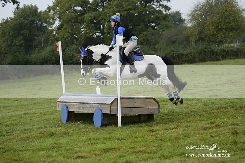 WWHT 171021 0243 - Novice Restricted (0.80m)  17/10/21