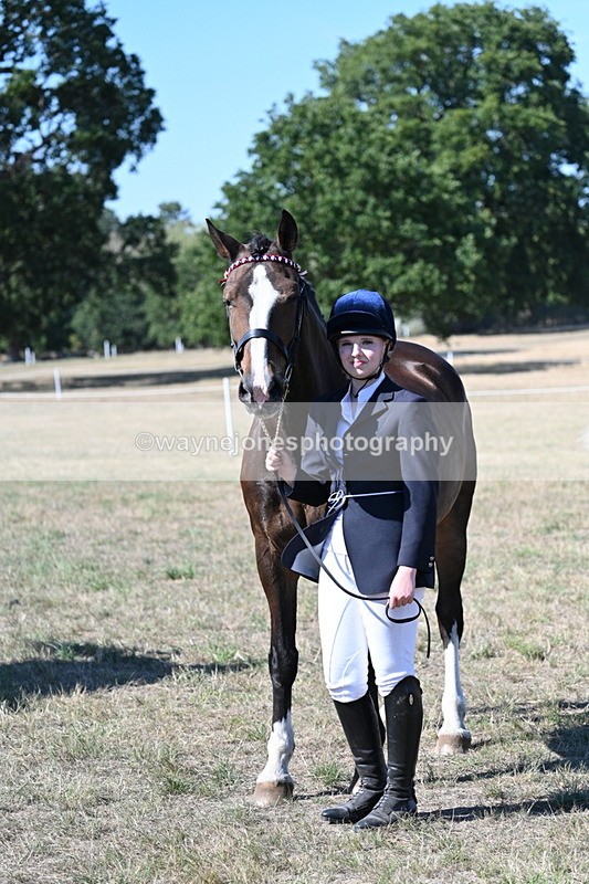WJ7_1572 - Class 42 Most Handsome Gelding