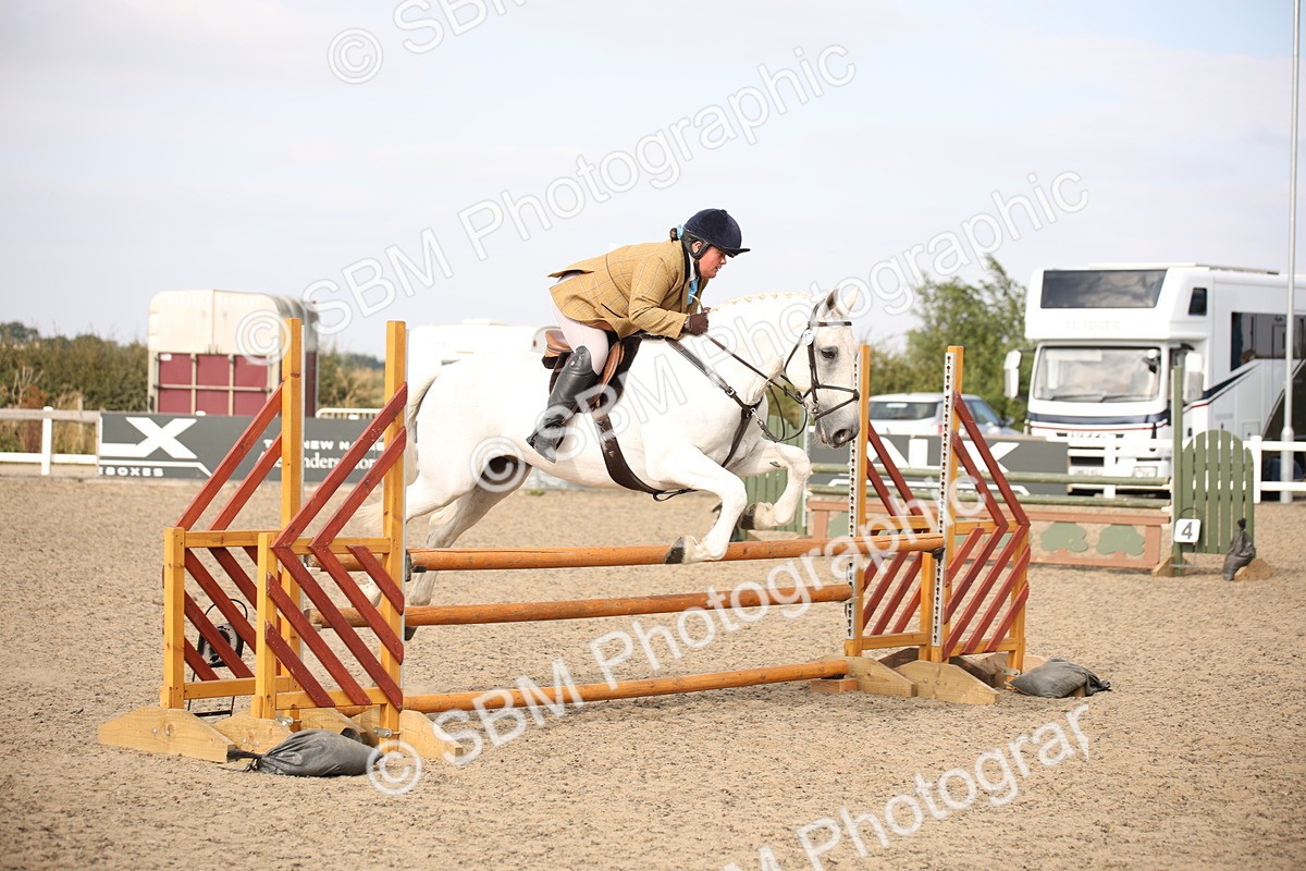 SBM_17276 - Class 410a - Wor5king Veteran 90cm (15-19)