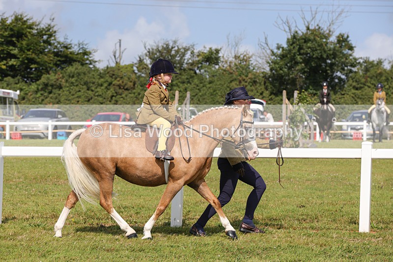 1X9A3587 - Class 29: Lead Rein SP/SHP