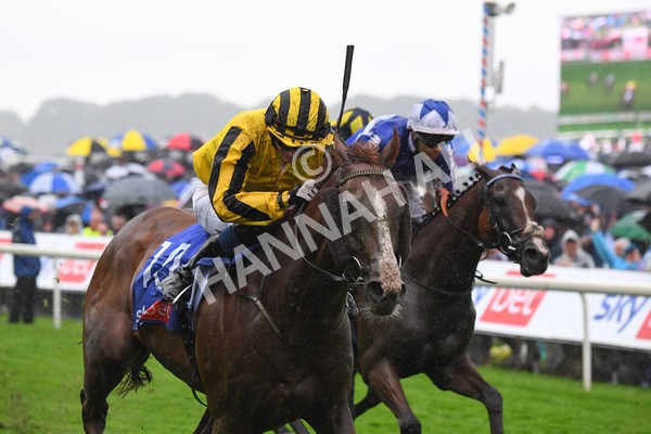 yr21082021r4-72 - Race 4 3.35pm Sky Bet Ebor