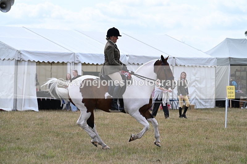 WJ7_5642 - Class 12 Ridden Cob