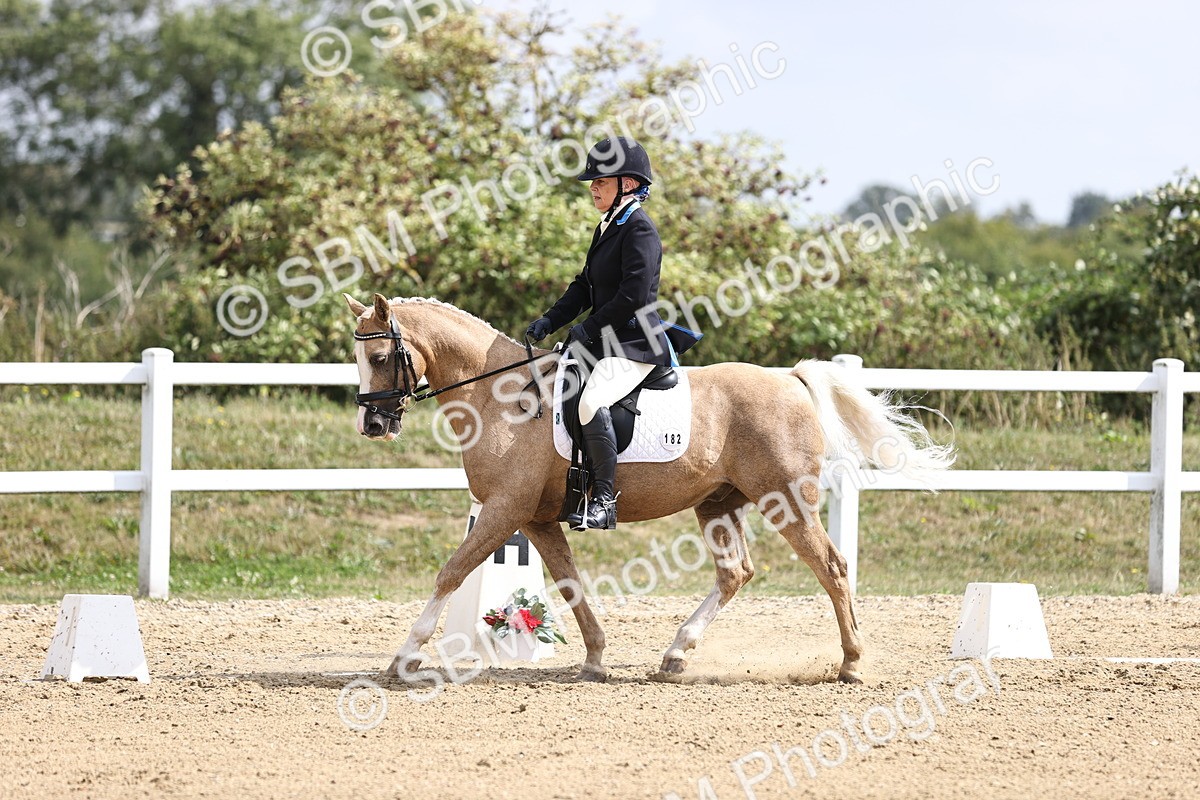 SBM_016185 - Class 14 - Novice 23 - 10.29-11.32