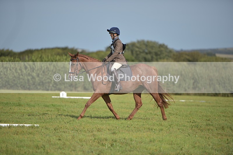RAY_7834 - Class 2B: Trekenning Open: Dressage