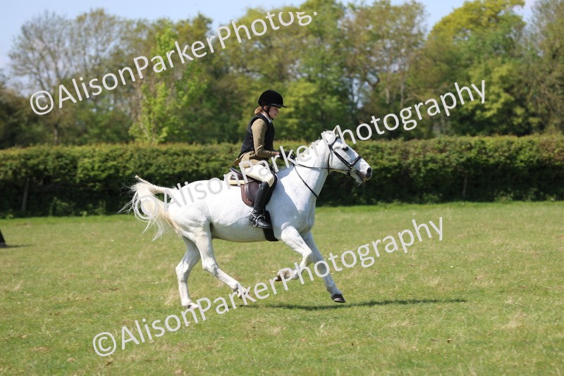 20250427-2604 - Class 20 - Working Hunter Ponies