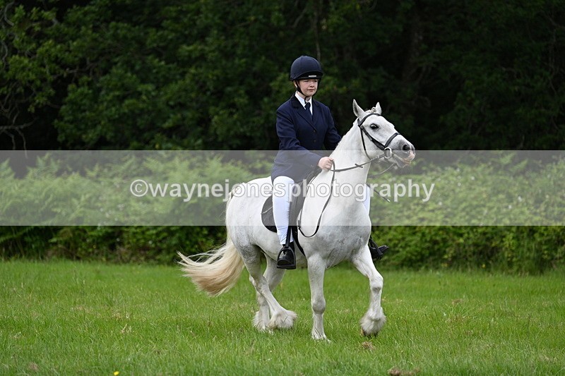 WJ7_2589 - Class 12A Coloured Class