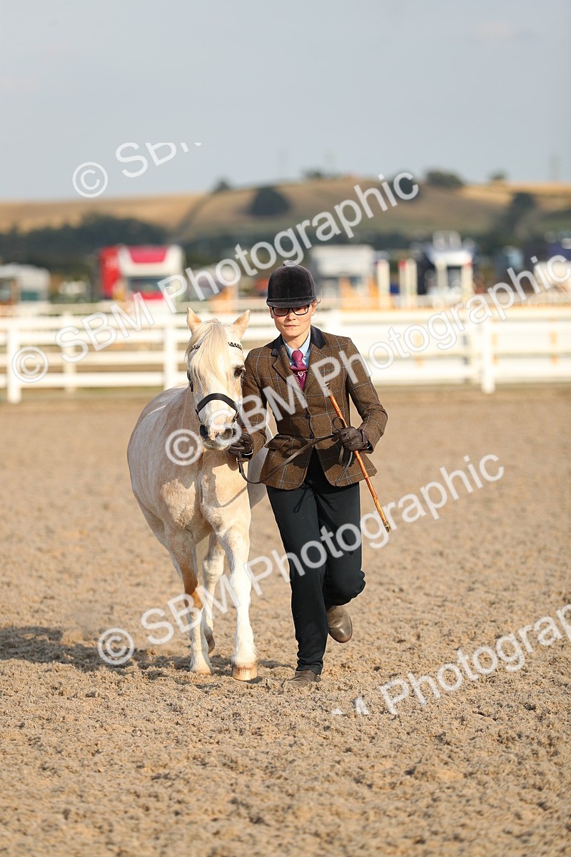 SBM_09065 - Class 29 IH Veteran Pony