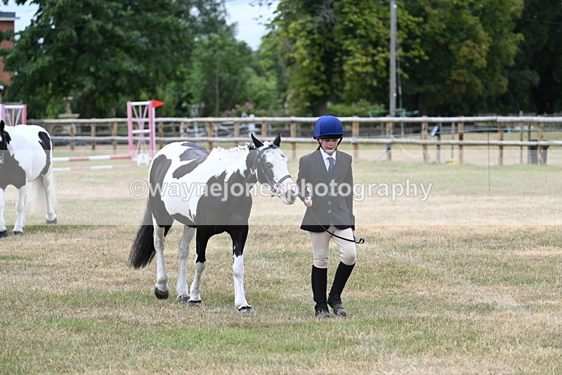 WJ7_1455 - Class 4 Prettiest Mare up to 14.2hh in hand